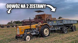 żniwny dzień u Matiego  odwóz na dwa Ursusy  żniwa pszenżyta   [Agro Vlog #25] RzP