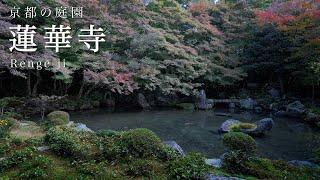 【京都の庭園】紅葉 蓮華寺｜Autumn leaves Renge-ji Temple【Kyoto Japanese Garden】