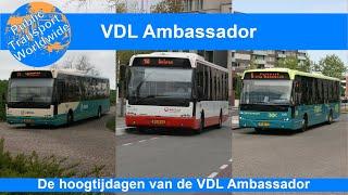 VDL Ambassador Bussen / Buses