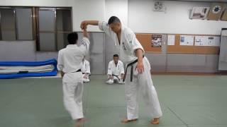 Shodokan Aikido: Nage no Kata (last 11 techniques)