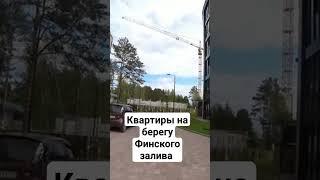 Квартиры на берегу Финского залива