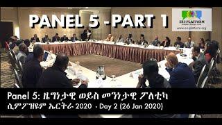 (Part 1 of 2) Panel 5: ዜግነታዊ ወይስ መንነታዊ ፖለቲካ - ሲምፖዝዩም ኤርትራ 2020