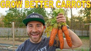 How To Grow The BIGGEST, SWEETEST CARROTS Of Your Life!