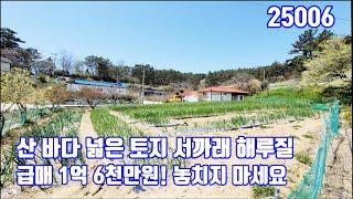 바닷가 도보 10분 넓은 토지 서까래 해루질 과실수 급매 1억6천만원