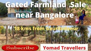 Low Cost Farmland Sale Near Bangalore Gauribidanur l Farm House l 80 Kms from Yelahanka