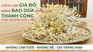 Cách làm Giá Đỗ với Bao Dứa Đựng Gạo ,100%Thành công,Không cần Tưới |CHiều Xuân vào bếp #3