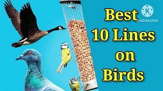 Birds/Best 10 Lines on Birds/Best Essay on Birds/10 Lines Essay on Birds in English/#birds