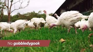 Turkey Gobbledigook - RSPCA Approved