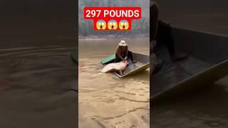 297 POUNDS #shortvideo #subscribe #youtube  #fish