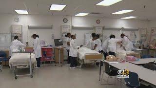 Morgan State University Nursing Class Scores Perfect Pass Rate