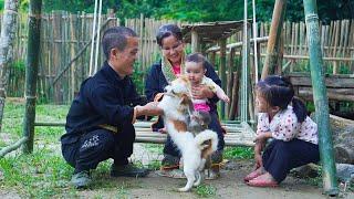 Dwarf Family Harvesting Wild Berries - Bring Home a Puppy & Monkey | HAN Falls into a Dangerous Trap