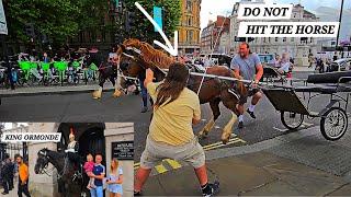 DO NOT HIT A SPOOKED HORSE, a HURT HORSE, a CONFUSE HORSE  - Nature Protesters Day  at Horse Guards