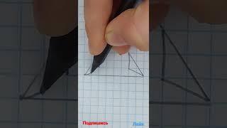 3д рисунок иллюзия. #shorts #short #shortvideo #shortsvideo #tiger_egor #tiger-egor #3d #3д