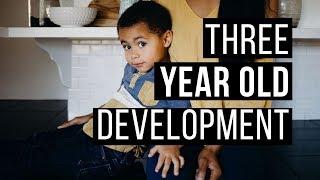 3 Year Old Development | Social Emotional Development