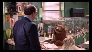 Rowlf the dog, Snookums, Muppets take Manhattan, Great Scene