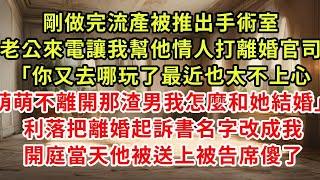 剛做完流產被推出手術室，老公打電話讓我幫他情人打離婚官司「你又去哪玩了最近也太不上心，萌萌不離開那渣男我怎麼和她結婚」利落把離婚起訴書名字改成我，開庭當天他被送上被告席傻了#復仇 #逆襲 #爽文