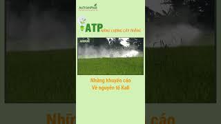 NHỮNG KHUYẾN CÁO KHI SỬ DỤNG NGUYÊN TỐ KALI | An Thịnh Phát