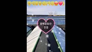 서산 가볼만한 곳 광애꿈동산 korea goldfishfarm