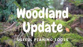 Woodland Update