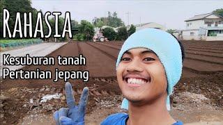 Rahasia Kesuburan Tanah Pertanian Jepang | Vlog Pertanian