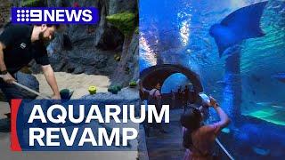 Sea Life Aquarium undergoes multimillion-dollar refurbishment | 9 News Australia