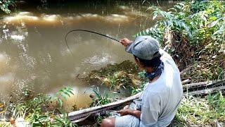 PANEN STRIKE.!!! MANCING PAKAI BUAH KELAPA SAWIT. SEKALI COBA PASTI KETAGIHAN