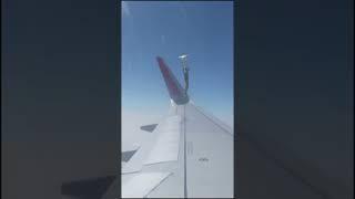 Shutter Authority Airplane Prank x After Effects #shorts