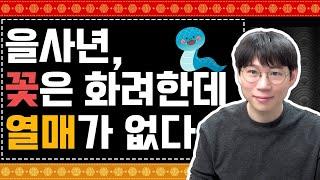 25년 을사년 신년운세 총론 / 화려한 꽃을 피우기 위한 나만의 방법은?