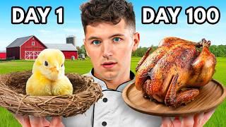 I Hatched A Chicken, Then Cooked It