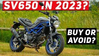 Should you BUY or AVOID the Suzuki SV650 in 2023?