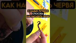 3 Самых Лучших Способа Как Насадить Червя на Крючок #рыбалка #рыба #fishing