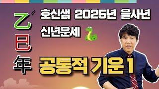 호신샘 2025년 을사년 신년운세  공통적 기운 1