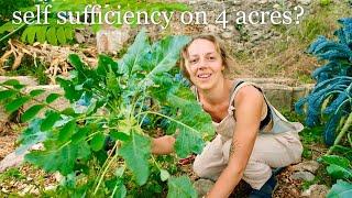 Eating From my Garden EVERY DAY for a Year [timelapse]