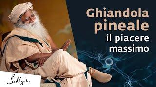 Ghiandola pineale, un piacere molto più grande del sesso | Sadhguru Italiano