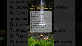 Вашему организму нехватает воды, если у вас