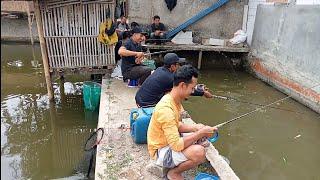 Harus kuat mental,mancing disini‼️mancing bawal babon2..