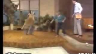 Kangaroo fighting trainers on live tv