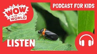 WEIRD Animal HABITATS 🪺🪲 | PODCAST FOR KIDS  | Wow in the World FULL EPISODE