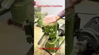 Poultry feed pellet mill granulator chicken feed pellet machine