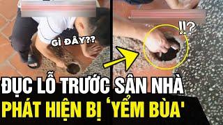 Đục 1 lỗ nhỏ trước sân, gia chủ TÁ HOẢ khi phát hiện VẬT LẠ ở bên dưới | Tin Ngắn 3 Phút