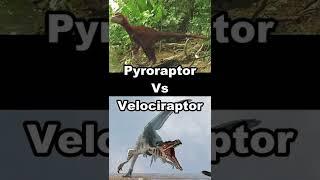 Pyroraptor Vs Velociraptor | According to real Info #short