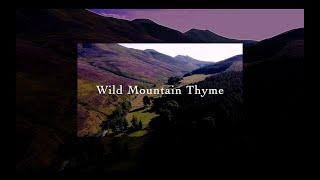 "Wild Mountain Thyme"  by Siert van den Berg with Lyrics