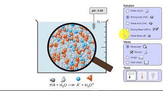 Strong Acids and Strong Bases