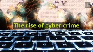 The Rise of Cyber Crime