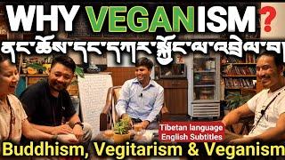 WHY VEGANISM? BUDDHISM, VEGITARISM & VEGANISM|ནང་ཆོས་དང་དཀར་སྐྱོང་ལ་འབྲེལ་བ།#podcast