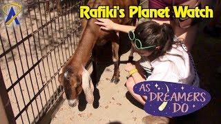 Running Wild at Rafiki's Planet Watch - As Dreamers Do