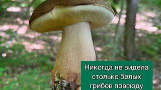 Белых хоть косой коси…