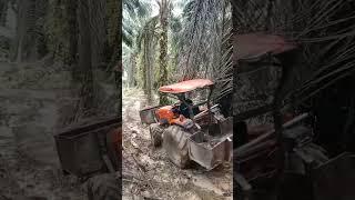 This machine is very suitable for shredding oil palms on hillsides #short #sawitriau #shortvideo