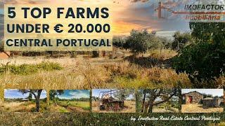  5 Top Farms Under €20.000 for Sale in Central Portugal