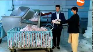 Afghan Dost Company full Documentary  Halal Frozen Chicken Afghanistan